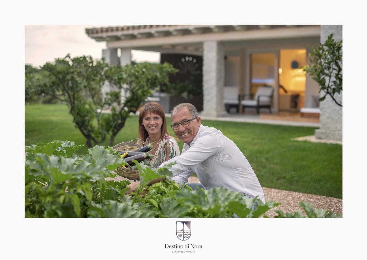 Bed & Breakfast Destino Di Nora